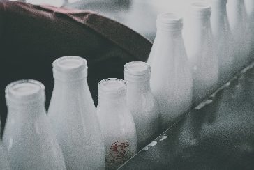 Line of milk bottles