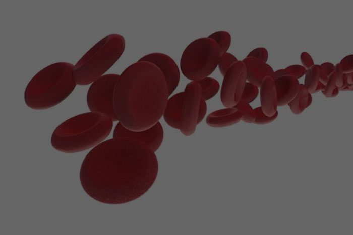 Whole Blood Separation