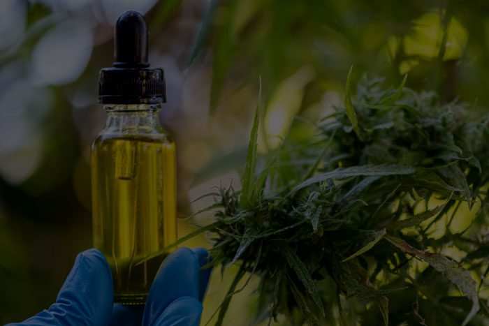 Botanical Extraction Filters