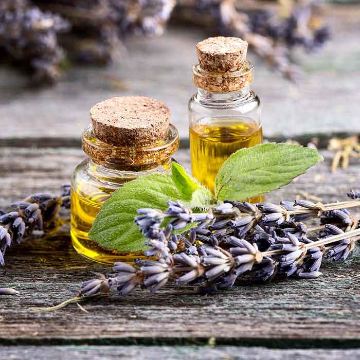 lavendar lavender oil