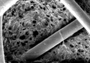 Closeup os MaxClad II fibers