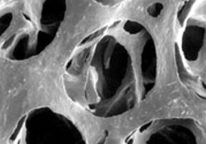 Close up microscopic view of Surface Release Coating
