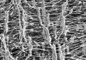 Closeup of Unipore fibers